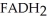 <strong>Which coenzyme is reduced in the following reaction? OH O - - → - - </strong> A)FAD B) C)CoQ D)NADH E)