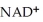 <strong>In the third reaction of the citric acid cycle, is converted to ________.</strong> A)NA B)NA C)NAD D)NAD E)NADH