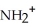 <strong>Which of the following represents the complete neutralization of dimethylamine?</strong> A) -NH + O → - + | | B) -NH + NaOH → -N- + O | | C) -NH + HCl → - + Cl | D) -NH + O → -OH + - | E) NH + HCl → + Cl- | |