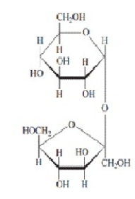 <strong>Refer to the disaccharide below to answer the following question(s). In the figure above,the monosaccharide on the top is a(n)________.</strong> A)aldopentose B)ketopentose C)aldohexose D)aldoheptose E)ketohexose