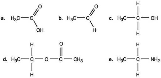 <strong>Figure 2.1 Which compound in Figure 2.1 is an organic acid?</strong> A)a B)b C)c D)d E)e