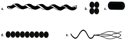 <strong>Figure 4.1 Which drawing in Figure 4.1 is a tetrad?</strong> A)a B)b C)c D)d E)e