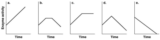 <strong>Figure 5.5 Which of the graphs in Figure 5.5 best illustrates the activity of an enzyme that is saturated with substrate?</strong> A)a B)b C)c D)d E)e