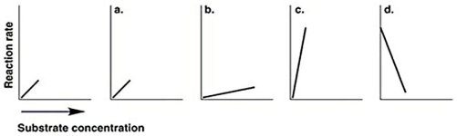 <strong>Figure 5.7 The graph at the left in Figure 5.7 shows the reaction rate for an enzyme at its optimum temperature.Which graph shows enzyme activity at a higher temperature?</strong> A)a B)b C)c D)d