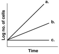 <strong>Figure 6.1 In Figure 6.1,which line shows the growth of an obligate aerobe incubated anaerobically?</strong> A)a B)b C)c