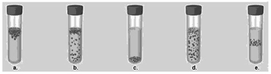 <strong>Figure 6.3 In Figure 6.3,which tube shows the expected growth pattern for a microaerophile?</strong> A)a B)b C)c D)d E)e