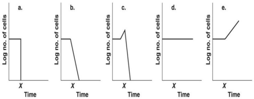 <strong>Figure 7.2 Assume 10⁹ E.coli cells/ml are in a flask. Which graph in Figure 7.2 best depicts the effect of placing the culture at 7°C at time x?</strong> A)a B)b C)c D)d E)e