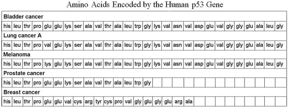 <strong>Table 8.3 Based on the information in Table 8.3,prostate cancer is probably the result of which kind of mutation?</strong> A)analog B)frameshift C)missense D)nonsense E)None of the answers is correct.