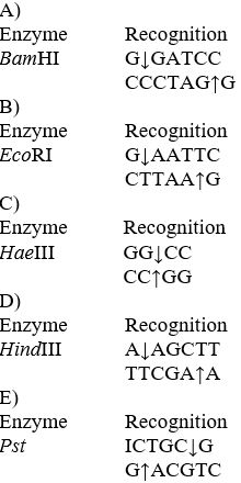 Which enzyme would cut this strand of DNA? GCATGGATCCCAATGC