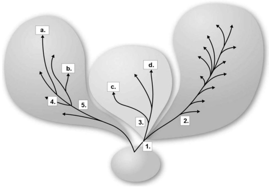<strong>Figure 10.1   In Figure 10.1,the closest ancestor for both species a. and species b. would be which of the following?</strong> A)1 B)2 C)3 D)4 E)5 <div style=padding-top: 35px> 
