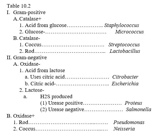 <strong>Table 10.2   Use the dichotomous key in Table 10.2 to identify a gram-negative cell that ferments lactose and uses citric acid as its sole carbon source.</strong> A)Citrobacter B)Escherichia C)Lactobacillus D)Pseudomonas E)Staphylococcus <div style=padding-top: 35px> 