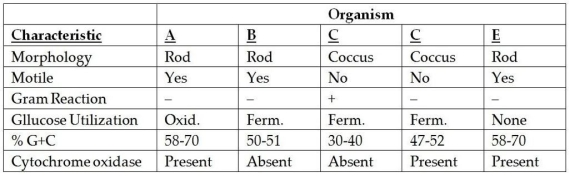Table 10.3   Use the information given in Table 10.3 to answer the following questions.Which organisms are most closely related? On what did you base your answer? DNA from which organisms will probably hybridize?<div style=padding-top: 35px> 