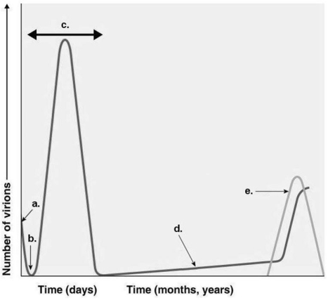 <strong>Figure 13.2 Assume a patient has influenza.During which time on the graph in Figure 13.2 would the patient show the symptoms of the illness?</strong> A)a B)b C)c D)d E)e