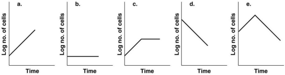 <strong>Figure 28.2 Figure 28.2 shows the growth curves of Acetobacter under different conditions.Which culture would produce the highest amount of the primary metabolite acetic acid?</strong> A)a B)b C)c D)d E)e