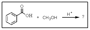 <strong>What is the major product of the following reaction: </strong> A) B) C) D) E)