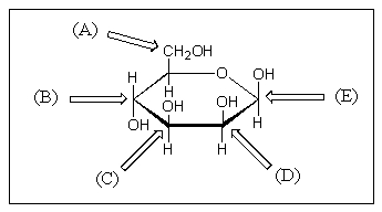 Which of the following is referred to as the anomeric carbon?
