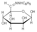 <strong>Predict the major product of the following reaction. </strong> A) B) C) D) E)