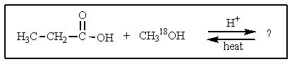 <strong>In the reaction shown below,which product(s)would be formed? </strong> A) <sup> </sup> B) C) D) E) both A and B