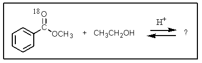 <strong>What would be the organic product of the following reaction? (<sup>18</sup>O is a rare oxygen isotope.) </strong> A) <sup> </sup> B) C) D) More than one of these. E) None of these.