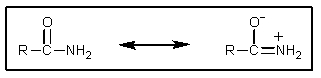 <strong>How can the importance of the following resonance be evaluated? </strong> A) Charged resonance structures are always more important. B) The C=O IR stretch for amides is significantly different than for other C=O groups. C) The water solubility of amides implicates charged structures. D) The C-N rotational barrier can be determined by NMR. E) More than one of the above are correct.