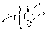 <strong>Which,if any,functional group in the molecule below would undergo basic hydrolysis most easily? </strong> A) A B) B C) C D) D E) None of these groups would react.