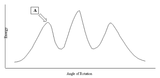 <strong>Consider the potential energy diagram for rotation about the C2-C3 bond in pentane.The position marked A most likely corresponds to which of the following Newman projections? </strong> A) B) C) D) E)