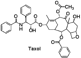 <strong>How many ester functional groups are in the potent anticancer compound Taxol? </strong> A) 0 B) 1 C) 2 D) 3 E) 4