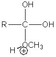 <strong>Which of the following intermediates are not involved in the acid catalyzed esterification reaction of a carboxylic acid?</strong> A) B) C) D) E) All of the above are intermediates.