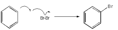 <strong>Which of the following mechanisms best describes electrophilic aromatic substitution of benzene with bromine?</strong> A) B) C) D) E) None of the above.