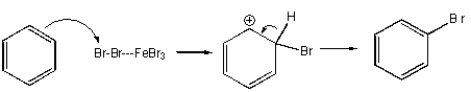 <strong>Which of the following mechanisms best describes electrophilic aromatic substitution of benzene with bromine?</strong> A) B) C) D) E) None of the above.