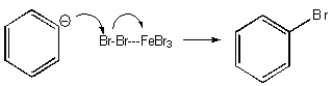 <strong>Which of the following mechanisms best describes electrophilic aromatic substitution of benzene with bromine?</strong> A) B) C) D) E) None of the above.