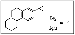<strong>What would be the expected major product of the following reaction? </strong> A) <sup> </sup> B) C) D) E)