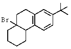 <strong>What would be the expected major product of the following reaction? </strong> A) <sup> </sup> B) C) D) E)