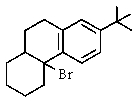 <strong>What would be the expected major product of the following reaction? </strong> A) <sup> </sup> B) C) D) E)