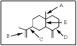 <strong>Of those indicated,which would be the shortest carbon-carbon bond in <font face=symbol></font>-selinene? </strong> A) A B) B C) C D) D E) E