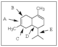 <strong>Of those indicated,which would be the shortest carbon-carbon bond in <font face=symbol></font>-cadinene? </strong> A) A B) B C) C D) D E) E