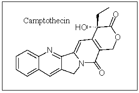<strong>Camptothecin is an important anticancer compound; how many carbons are in the sp hybridization state? </strong> A) 0 B) 1 C) 2 D) 3 E) 4