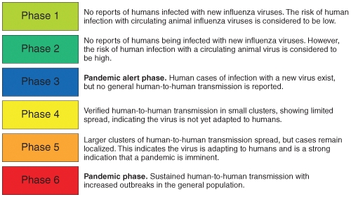 <strong>Examine this figure closely.What will occur before a Phase 1 outbreak determination is made? </strong> A)Recognition that avaiable medications are inaqequate B)Recognition that vaccination status within populations is inadequate C)Air travel from areas of outbreak to unaffected areas D)Recognition of a significant increase in disease incidence in non-human populations E)Recognition of zoonotic transmission