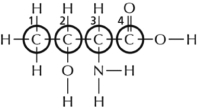 Most types of molecules in the cell have asymmetric (chiral) carbons.Consequently there is the potential to have two different molecules that look much the same but are mirror images of each other and therefore not equivalent.These special types of isomers are called stereoisomers.Which of the four carbons circled in Figure 2-37 is the asymmetric carbon that determines whether the amino acid (threonine in this case) is a ᴅ or an ʟ stereoisomer? Figure 2-37