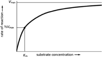 The graph in Figure 3-34 illustrates the change in the rate of an enzyme-catalyzed reaction as the concentration of substrate is increased.Which of the values listed below is used to calculate the enzyme turnover number? Figure 3-34