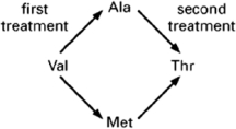 After treating cells with a mutagen, you isolate two mutants.One carries alanine and the other carries methionine at a site in the protein that normally contains valine.After treating these two mutants again with mutagen, you isolate mutants from each that now carry threonine at the site of the original valine (see Figure 7-67).Assuming that all mutations caused by the mutagen are due to single nucleotide changes, deduce the codons that are used for valine, alanine, methionine, and threonine at the affected site. Figure 7-67 Table 7-29