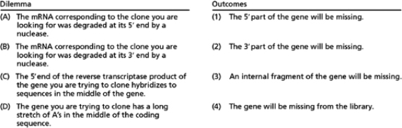 Some plasmids from cDNA libraries can have defects because of the way in which a cDNA library is constructed.For each dilemma (A to D) listed below, indicate which of the outcomes (1 to 4) you might encounter, and explain why.Outcomes may be used more than once. Table 10-54