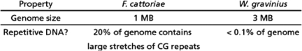 You have been asked to consult for a biotech company that is seeking to understand why some fungi can live in very extreme environments, such as the high temperatures inside naturally occurring hot springs.The company has isolated two different fungal species, F.cattoriae and W.gravinius, both of which can grow at temperatures exceeding 95°C.The company has determined the following things about these fungal species: By sequencing and examining their genomes, the biotech company hopes to understand why these species can live in extreme environments.However, the company only has the resources to sequence one genome, and would like your input as to which species should be sequenced and whether you believe a shotgun strategy will work in this case.(Be sure to explain your answer.)