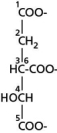 <strong>In step 3 of the citric acid cycle, the oxidation of isocitrate and the production of CO<sub>2</sub> are coupled to the reduction of NAD<sup>+</sup>, generating NADH and an α-ketoglutarate molecule.In the isocitrate molecule shown in Figure 13-32, which carbon is lost as CO<sub>2</sub> and which is converted to a carbonyl carbon?   Figure 13-32</strong> A)4 and 6 B)6 and 5 C)5 and 4 D)6 and 4 <div style=padding-top: 35px> 