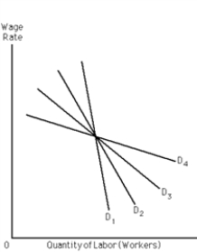 Exhibit 27-1 -Refer to Exhibit 27-l. Four demand curves for labor are displayed: D<sub>1</sub>, D<sub>2</sub>, D<sub>3</sub>, and D<sub>4</sub>. Which provides the most pronounced wage-employment tradeoff?