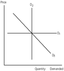<strong>Exhibit 19-1 Refer to Exhibit 19-1. The demand for the good represented by demand curve D<sub>1</sub> is</strong> A)inelastic. B)elastic. C)unit elastic. D)perfectly elastic. E)perfectly inelastic.