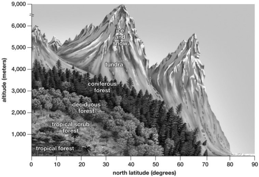 -What biome would you expect to find at 60° N latitude and elevations of 2,000 meters?