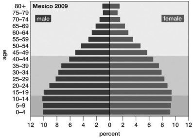 Based on its population pyramid, this population:  