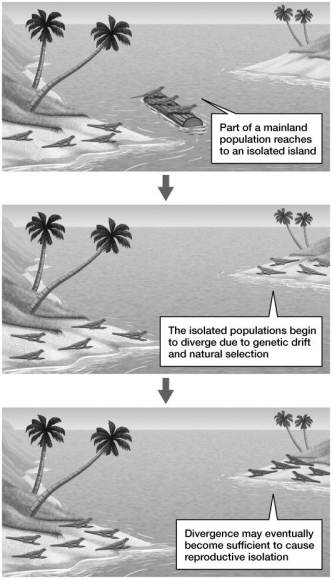 The series of events depicted in the figure demonstrates:  