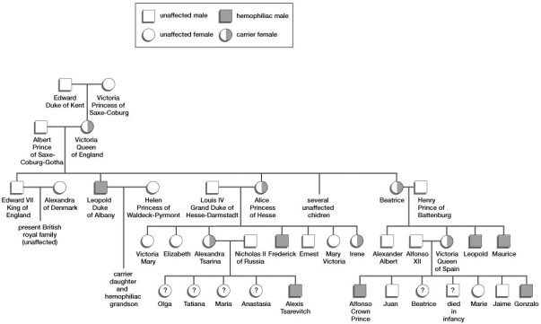 Based on this pedigree, which individual was a carrier for hemophilia but did not suffer from the disease?  